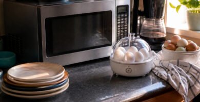 Cluttered kitchen countertop with a microwave and egg cooker in morning light.